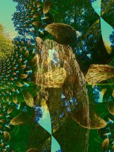 Psychedelic Tree Stump Resize