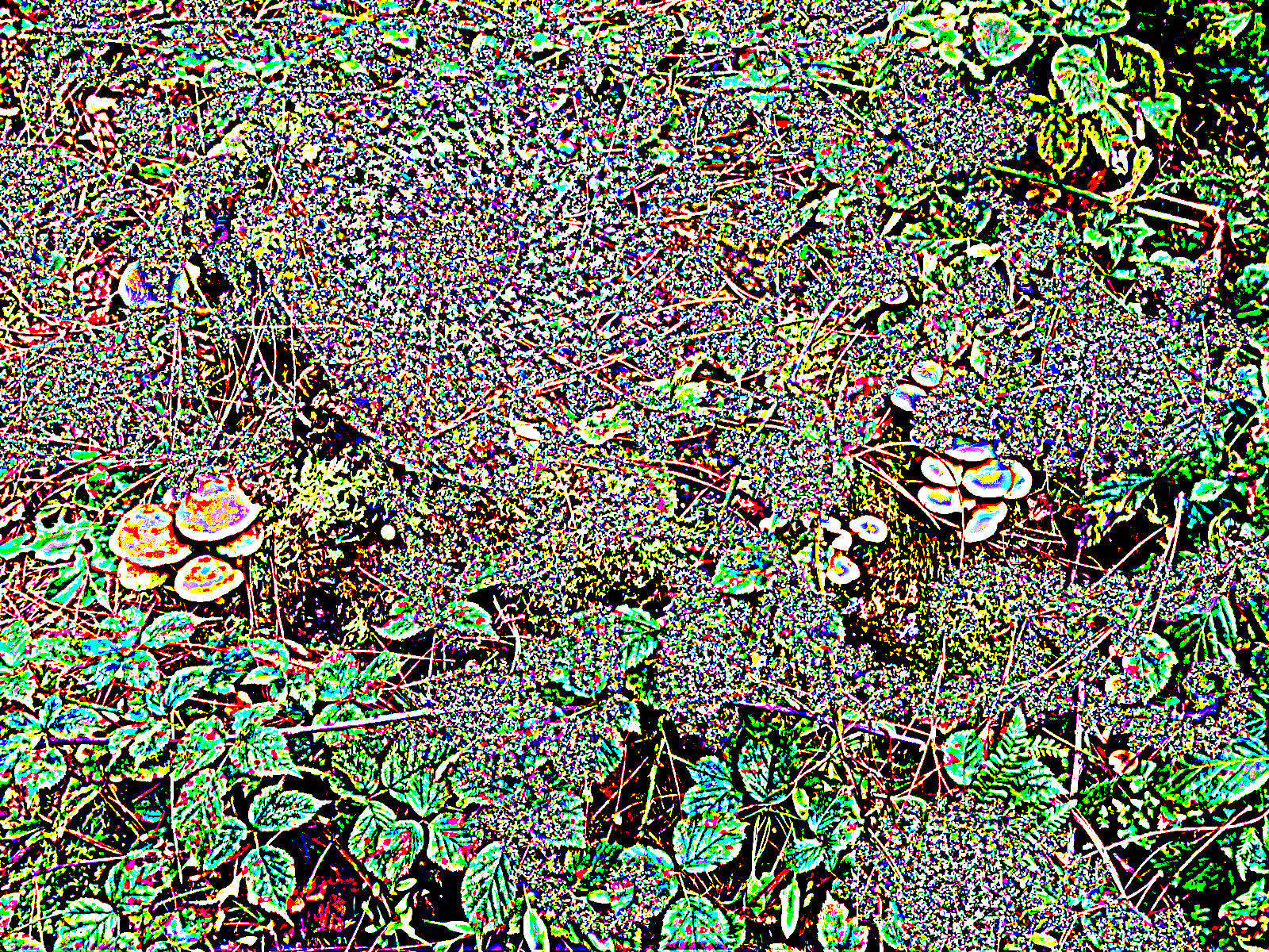 Self Implied background image