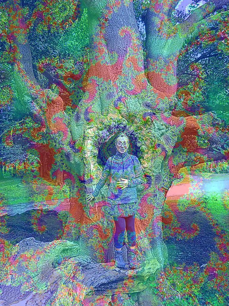 Tree Spirit