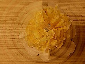 Environmental Disconnection