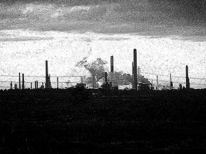 Fawley Black and White