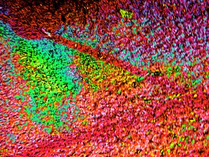 Refraction Abstraction