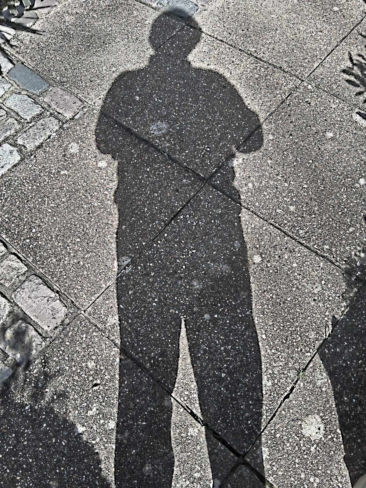 Shadow Selfie
