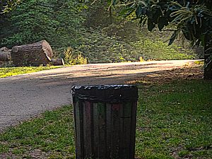 Binned