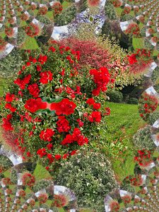Fractal Flowering