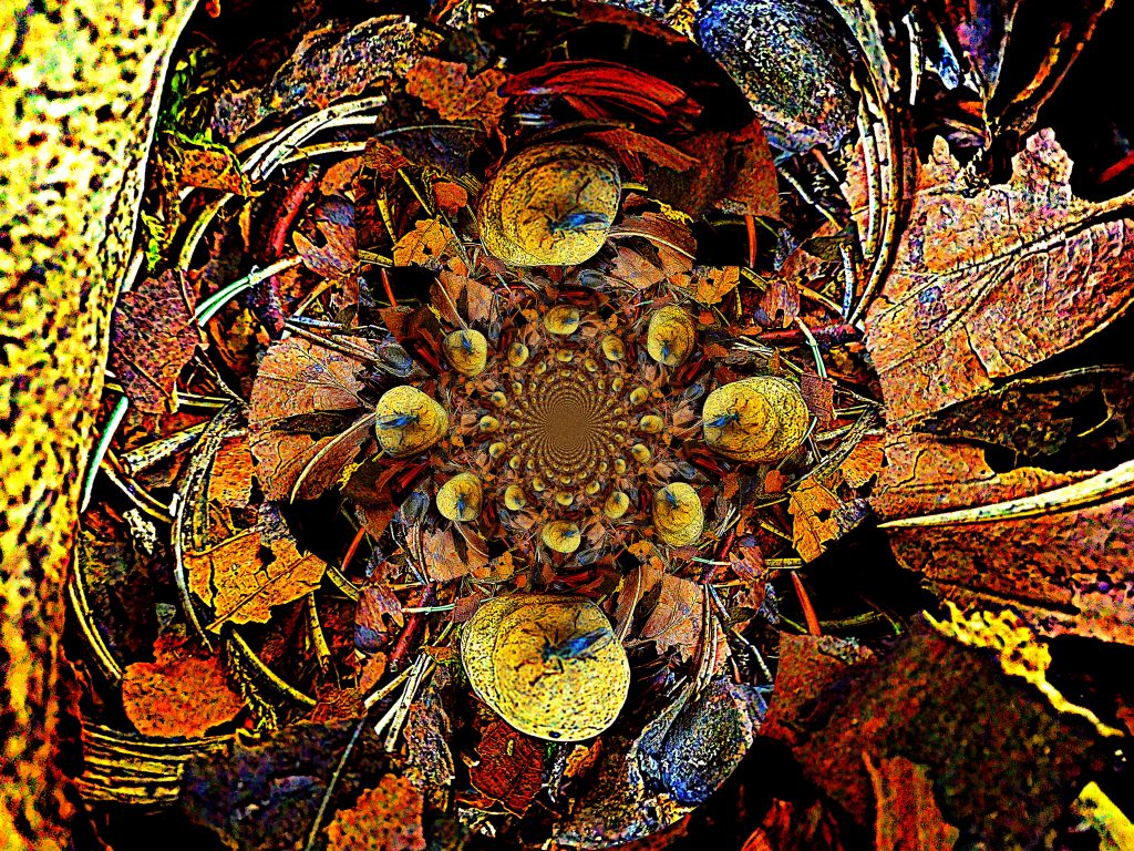 Insect Inside