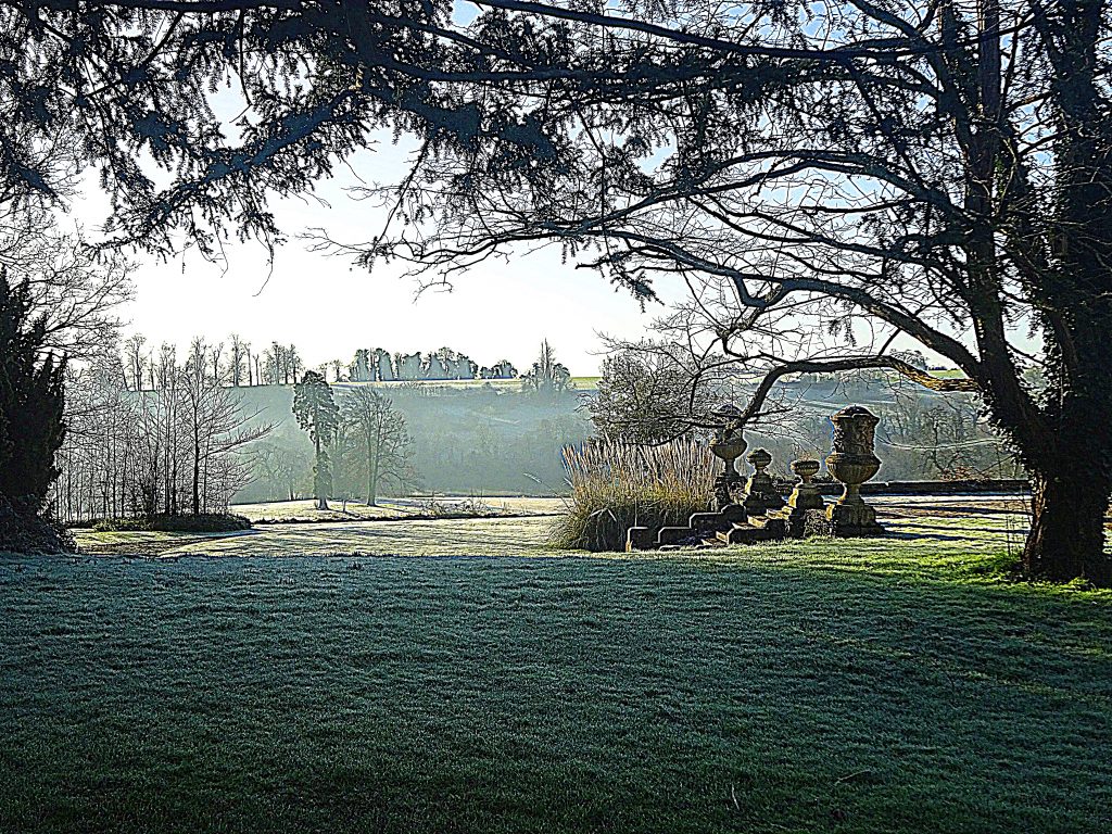 Morning Mist
