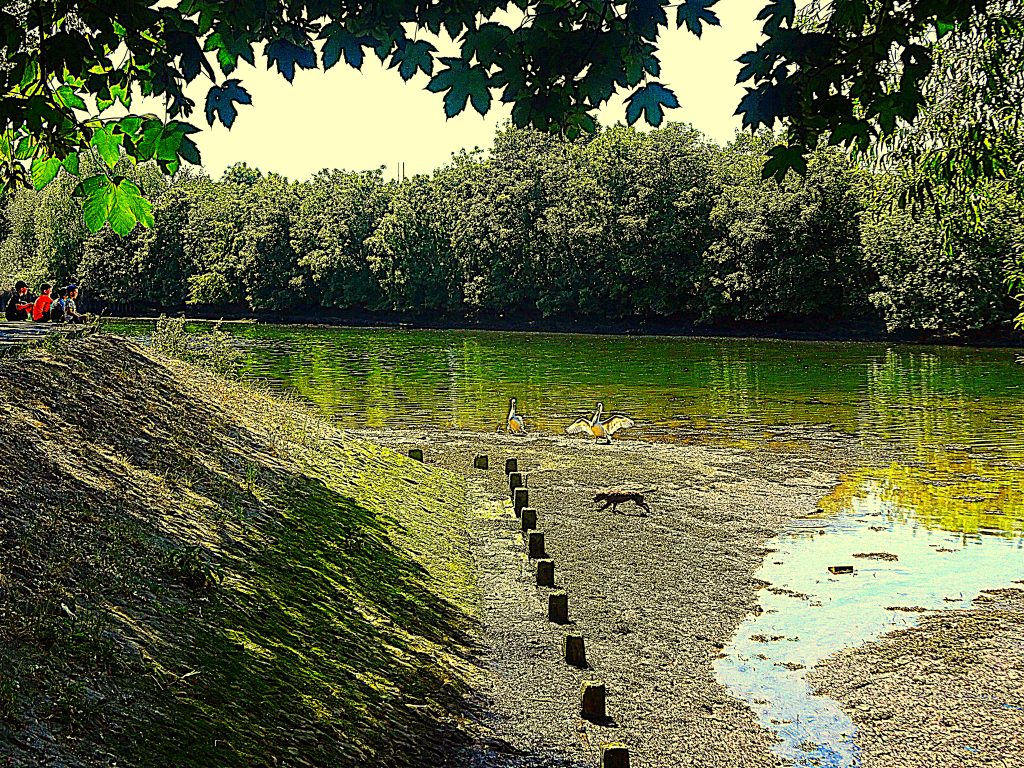 Riverside