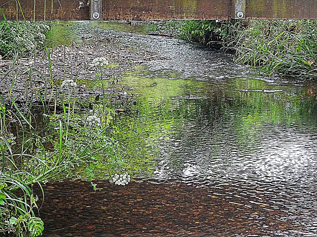 Stream