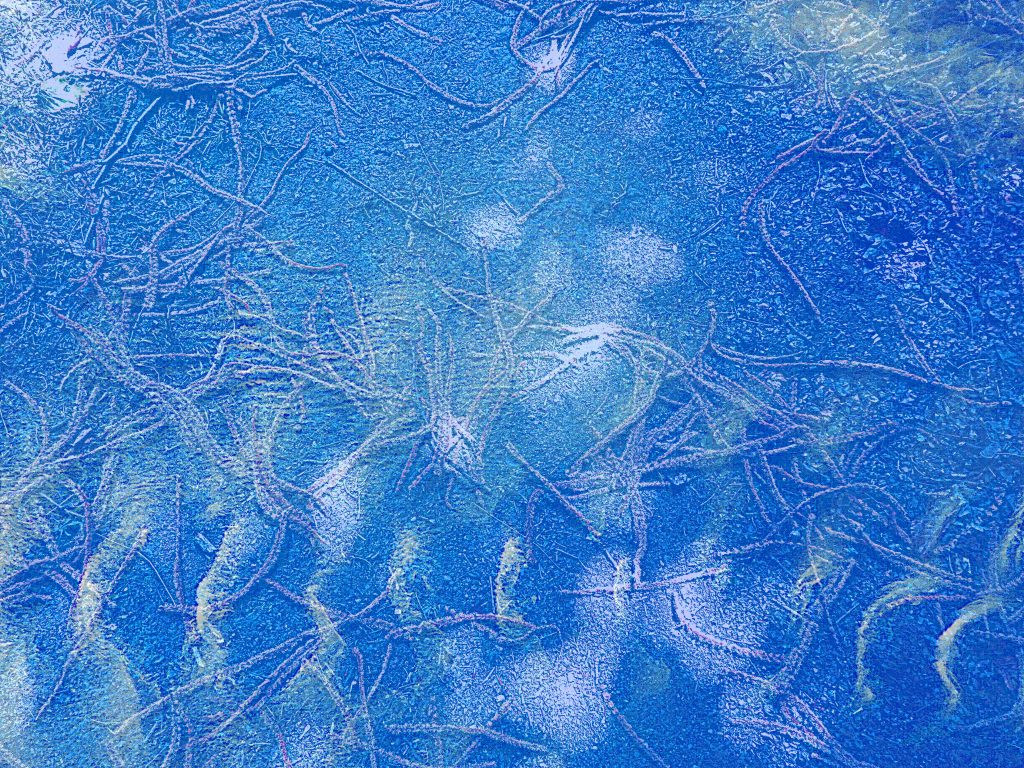 Wriggling Sky