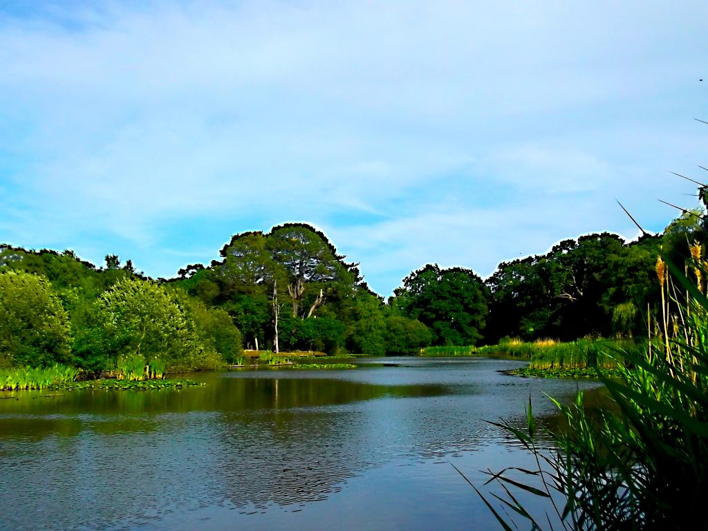 Lake