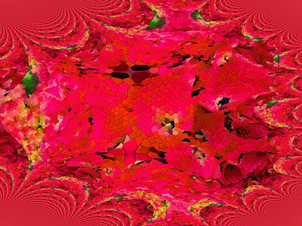 Mandlebrot Bloom