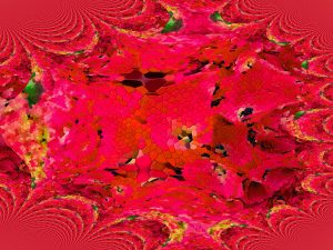 Mandlebrot Bloom
